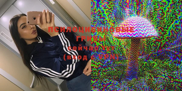 ECSTASY Зеленокумск