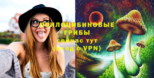 марки lsd Инта