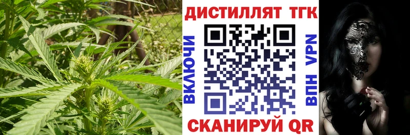 Дистиллят ТГК гашишное масло  Купить закладки  Михайловск 
