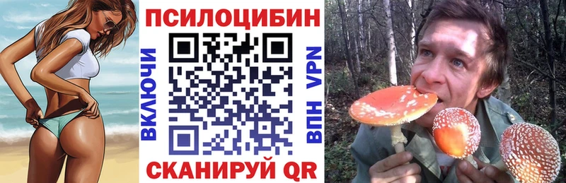 Купить  Михайловск  Псилоцибиновые грибы Psilocybine cubensis 